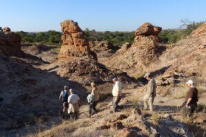 botswana northern tuli mashatu game reserve tuli safari lodge40