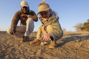botswana northern tuli mashatu game reserve tuli safari lodge5