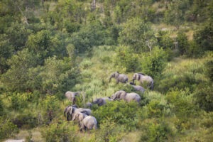 botswana okavango north island okavango9