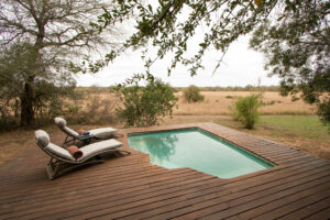 south africa kruger plains camp at rhino walking safaris14