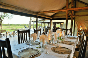 south africa kruger plains camp at rhino walking safaris15