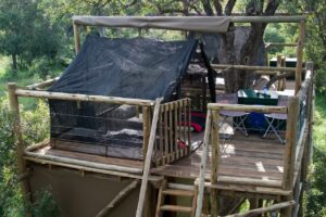 south africa kruger plains camp at rhino walking safaris4