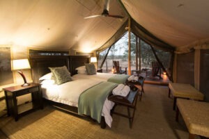 south africa kruger plains camp at rhino walking safaris7