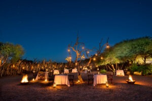 south africa marakele national park marataba safari lodge27