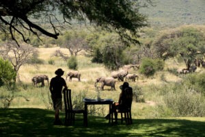 south africa marakele national park marataba safari lodge28
