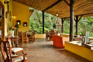 tanzania arusha rivertrees country inn13
