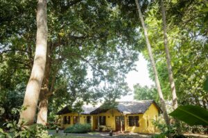 tanzania arusha rivertrees country inn6