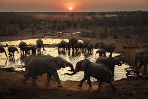 Jason Emilie Namibia New 20241