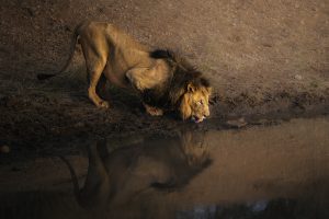 Jason Emilie Namibia New 202414