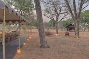 botswana chobe national park chobe under canvas10