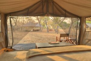 botswana chobe national park chobe under canvas11