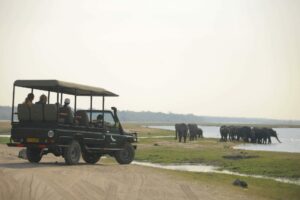 botswana chobe national park chobe under canvas12
