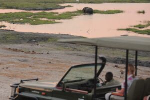 botswana chobe national park chobe under canvas13