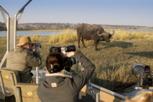 botswana chobe national park chobe under canvas15