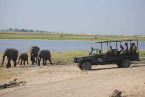 botswana chobe national park chobe under canvas17
