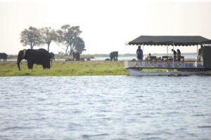 botswana chobe national park chobe under canvas19