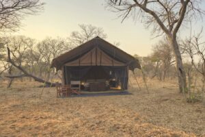 botswana chobe national park chobe under canvas2