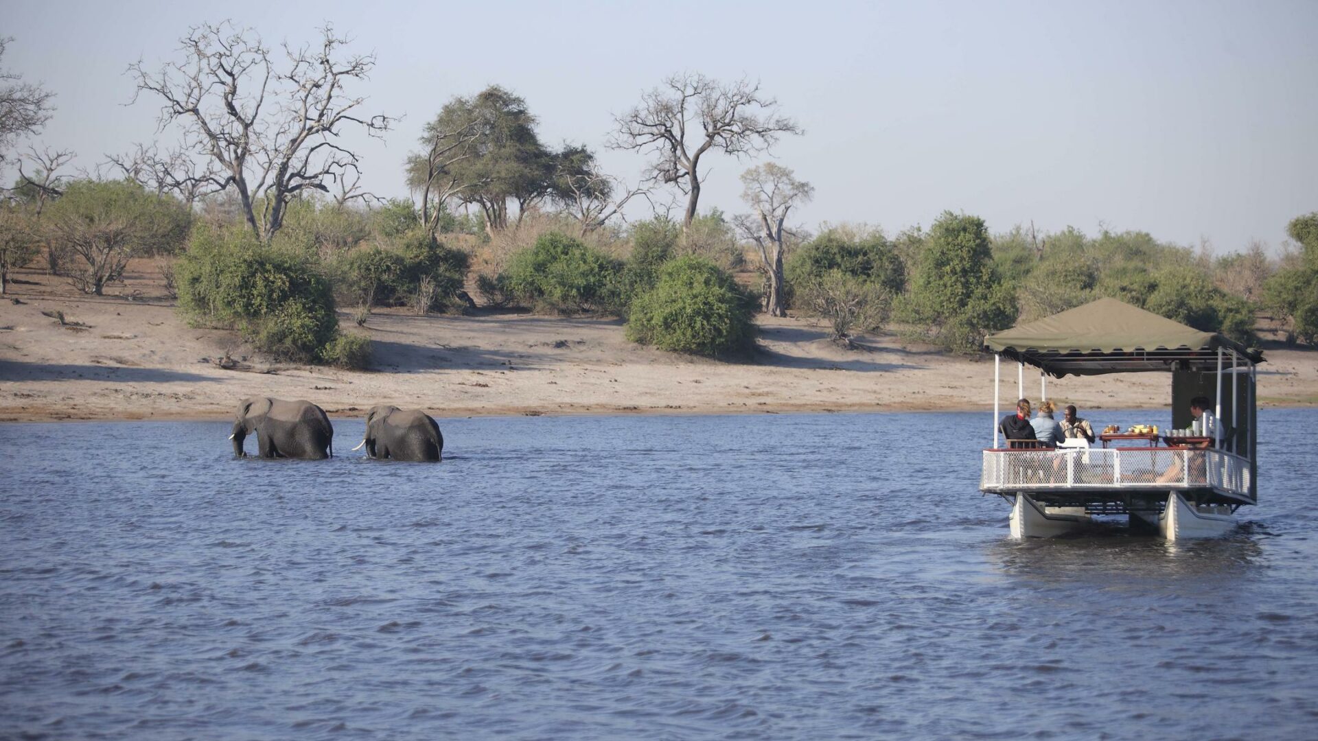 botswana chobe national park chobe under canvas21