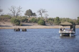 botswana chobe national park chobe under canvas21