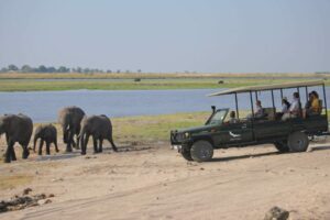 botswana chobe national park chobe under canvas22