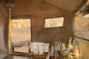botswana chobe national park chobe under canvas3