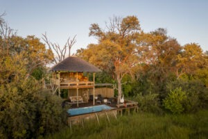 botswana khwai private reserve little sable8