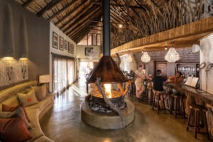 south africa madikwe impodimo game lodge1