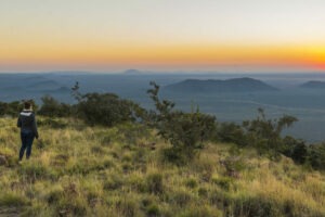 south africa madikwe impodimo game lodge13