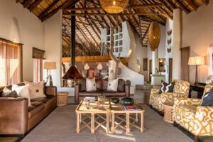 south africa madikwe impodimo game lodge15