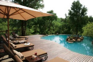 south africa madikwe impodimo game lodge16