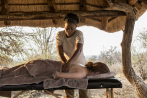 south africa madikwe impodimo game lodge18