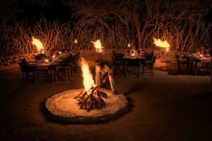 south africa madikwe impodimo game lodge2