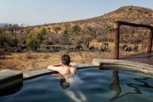 south africa madikwe impodimo game lodge7