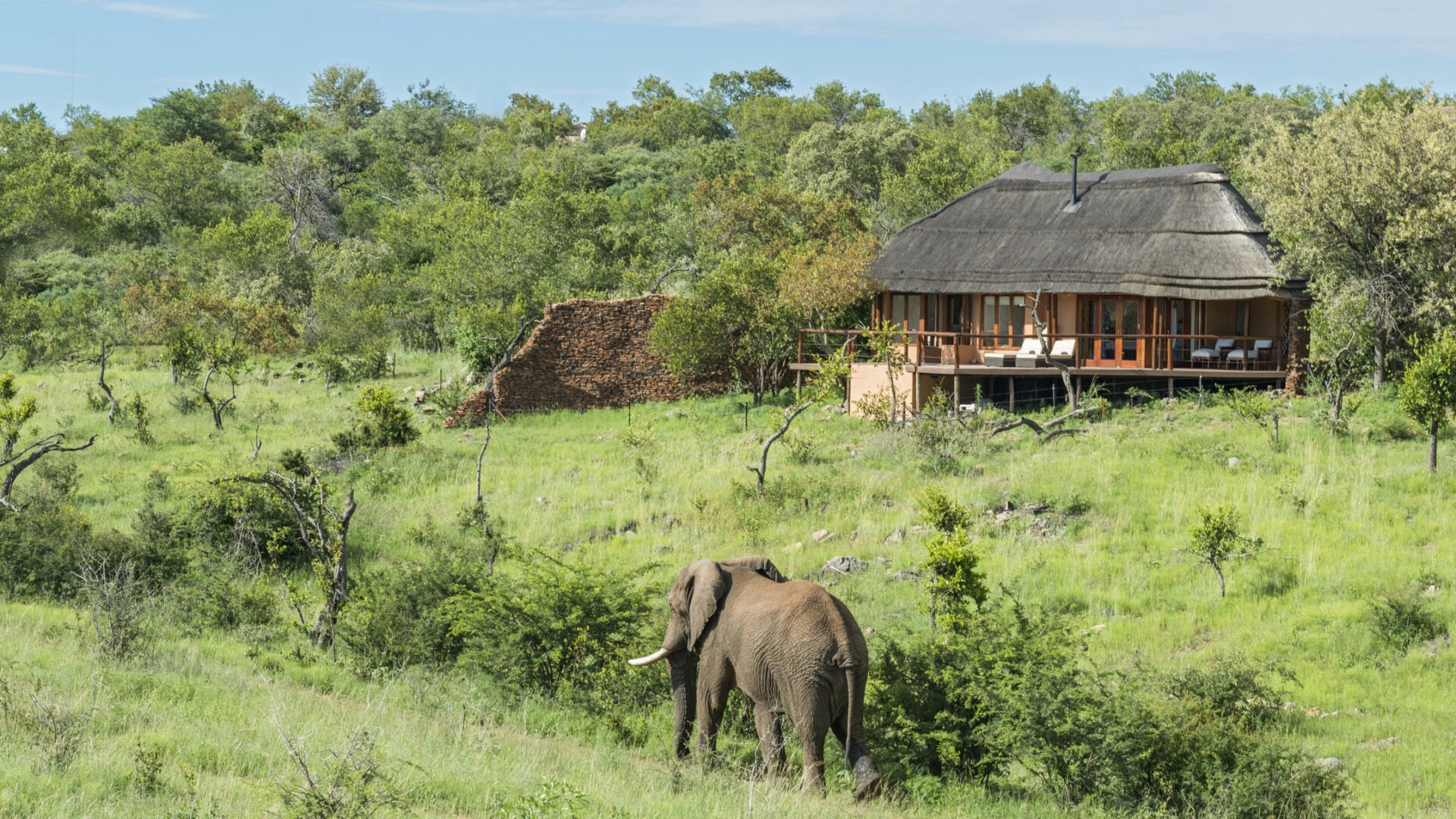 south africa madikwe royal madikwe safari lodge12