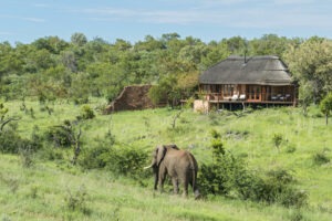 south africa madikwe royal madikwe safari lodge12