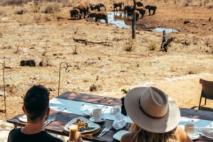 south africa madikwe royal madikwe safari lodge16