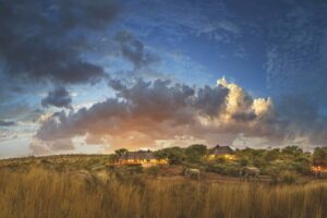 south africa madikwe tuningi safari lodge18