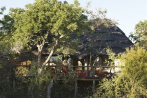 south africa madikwe tuningi safari lodge22