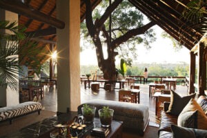 south africa sabi sands Londolozi varty camp20
