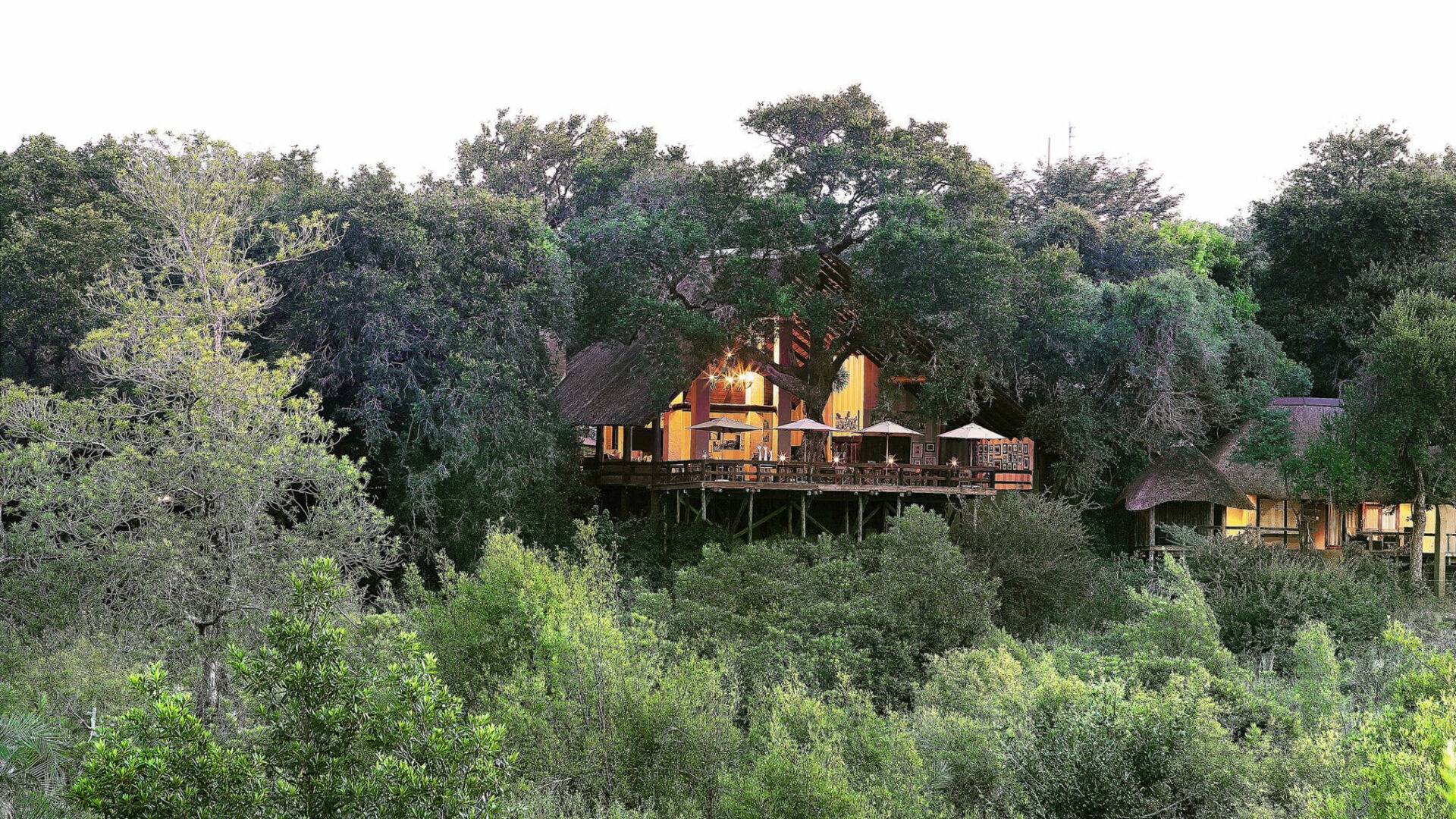 south africa sabi sands Londolozi varty camp21