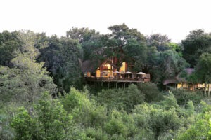 south africa sabi sands Londolozi varty camp21