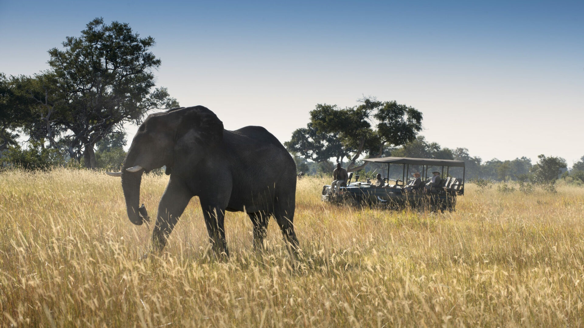 botswana okavango delta xaranna camp 3
