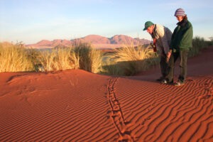 namibia namibrand natural reserve mountain view suite3