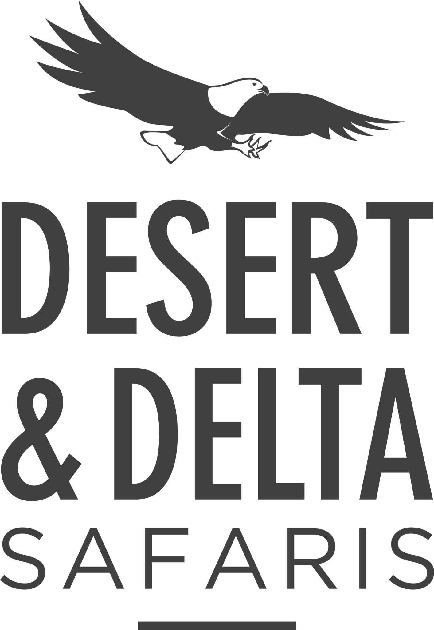 DDS Logo All Dark Grey White