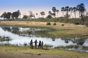 Botswana Sandibe Experience Walking Safari at the Okavango Delta River