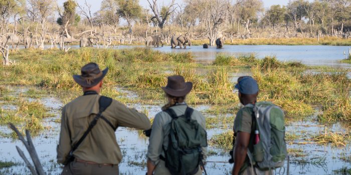 botswana okavango delta frank steenhuisen wild expeditions safaris okwa 32