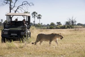 botswana moremi game reserve andbeyond nxabega11