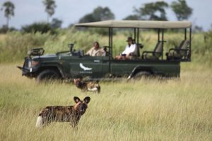 botswana moremi game reserve andbeyond nxabega12