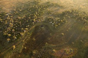 botswana moremi game reserve andbeyond nxabega14