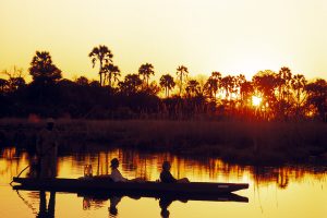 botswana moremi game reserve andbeyond nxabega17